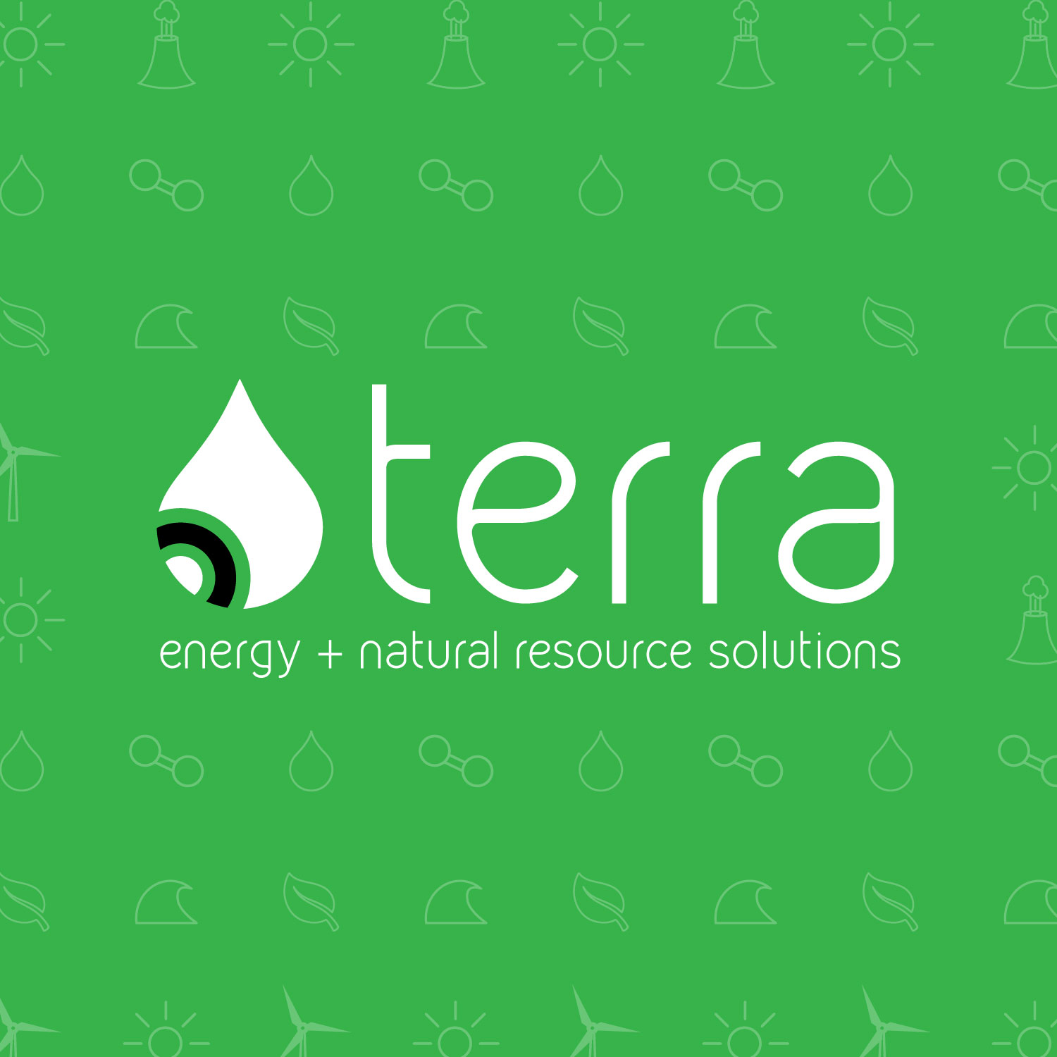 Terra Case Study